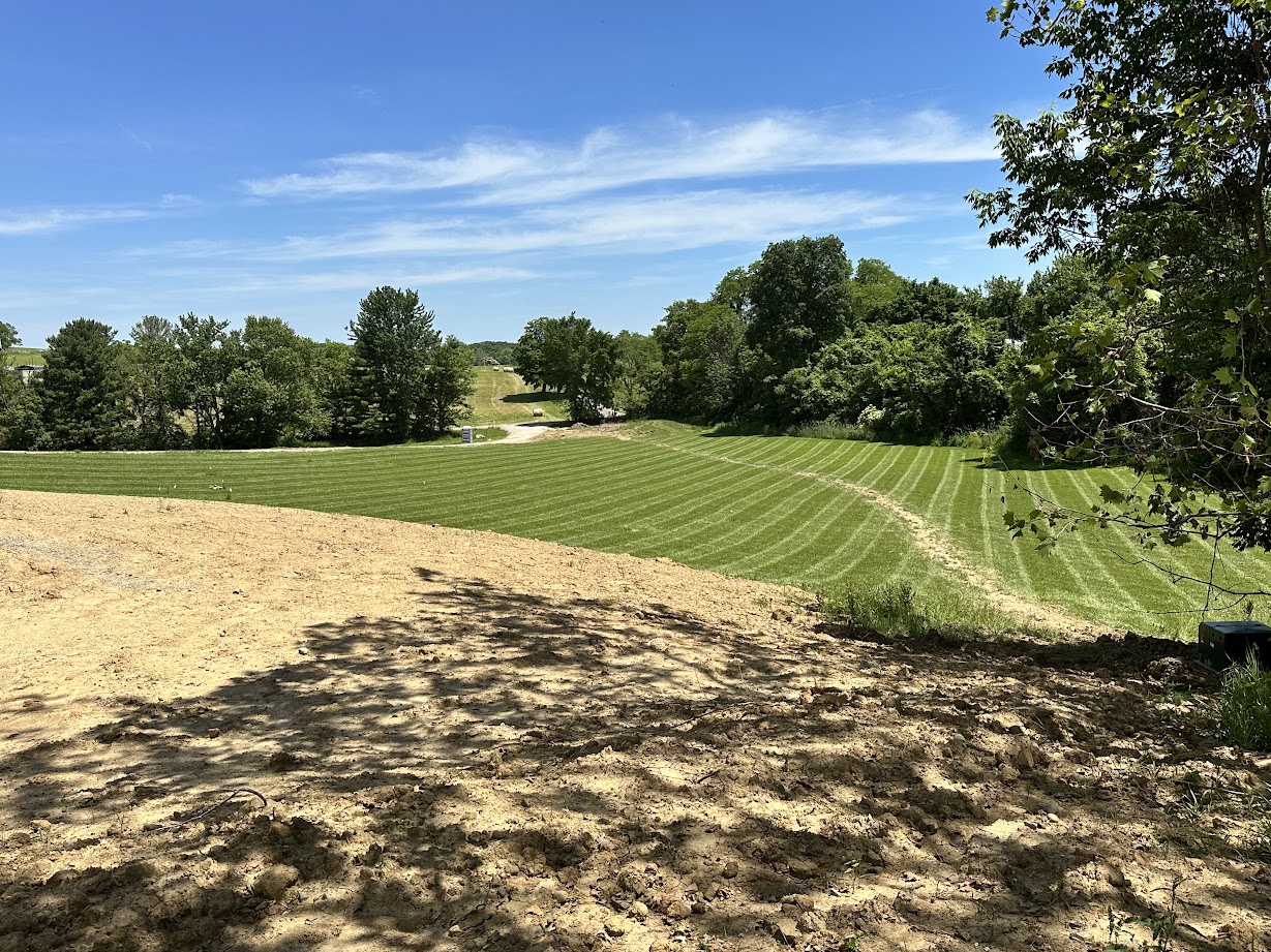 Lush green lawn with professional mowing pattern