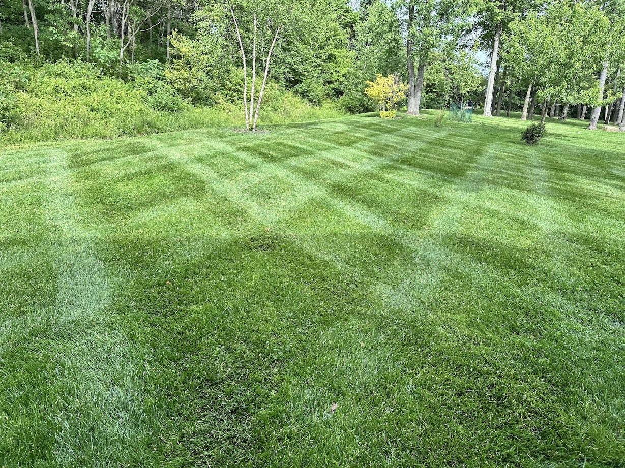 Tidy mowed hillside yard surrounded by trees